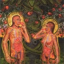 adam and eve