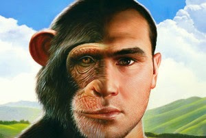 chimp-human-300x201