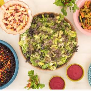 Yoga Retreat Valencia Spain July 2026