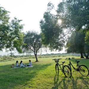 Yoga Retreat Valencia Spain July 2026