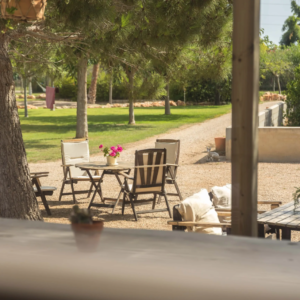 Yoga Retreat Valencia Spain July 2026