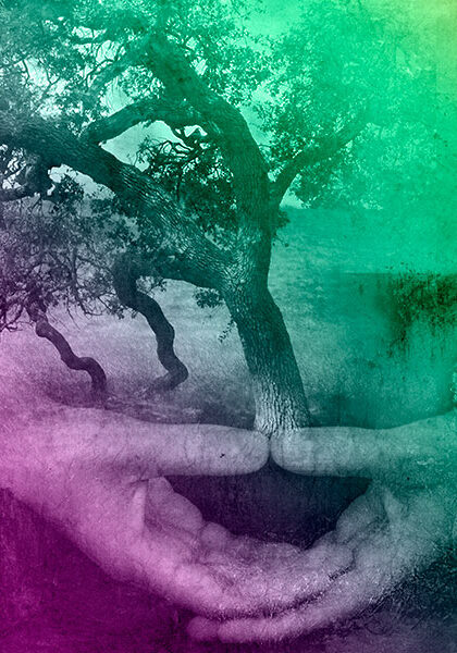 pranasana yoga book new yoga teacher support